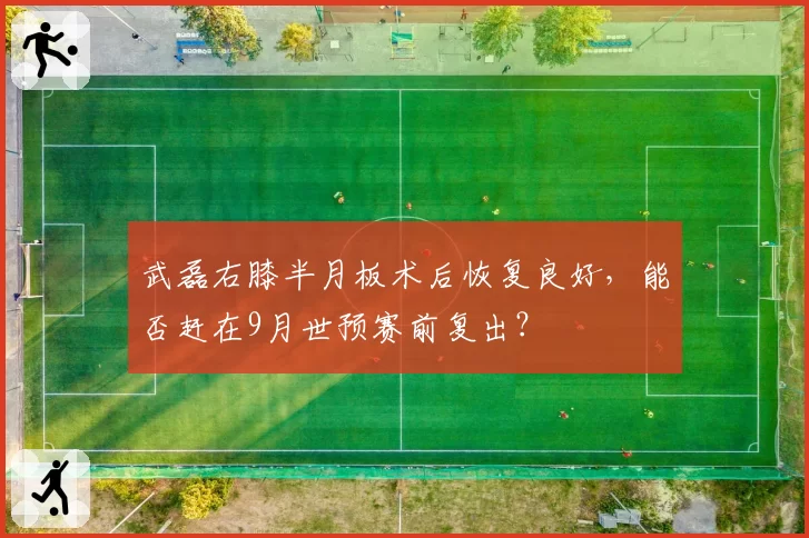武磊右膝半月板术后恢复良好，能否赶在9月世预赛前复出？