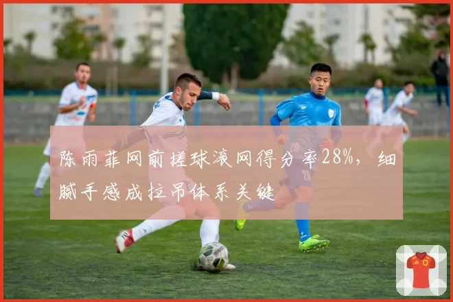 陈雨菲网前搓球滚网得分率28%，细腻手感成拉吊体系关键