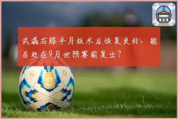 武磊右膝半月板术后恢复良好，能否赶在9月世预赛前复出？