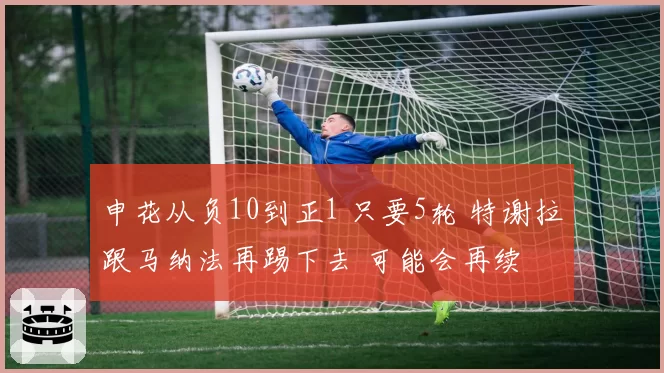 申花从负10到正1 只要5轮 特谢拉跟马纳法再踢下去 可能会再续