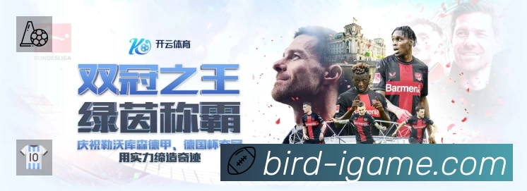 爱游戏App 观赛体验预览